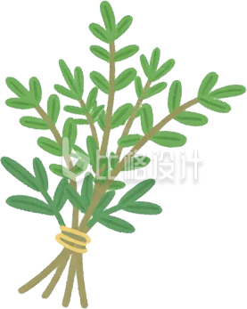 手绘艾草