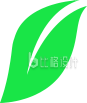 树叶植物绿色
