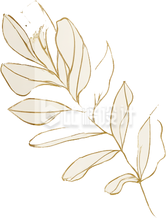 文艺线条树叶插画