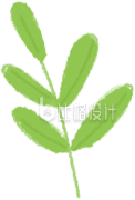 植物绿色树叶手绘