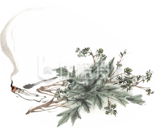 艾草