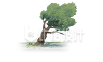 手绘树木