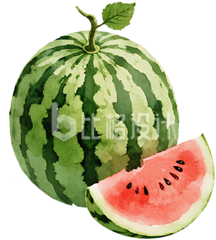 手绘西瓜