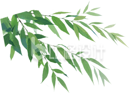 手绘树叶