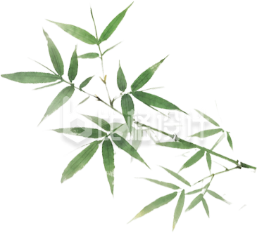 手绘竹叶