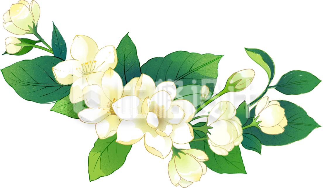 花朵绿植插画