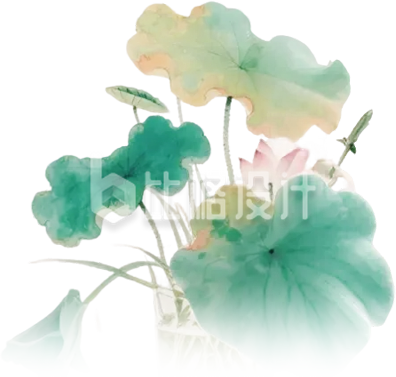 荷花荷叶