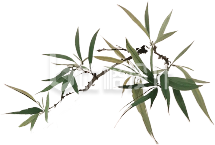 手绘绿色竹叶