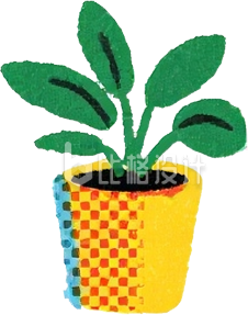 绿植盆栽