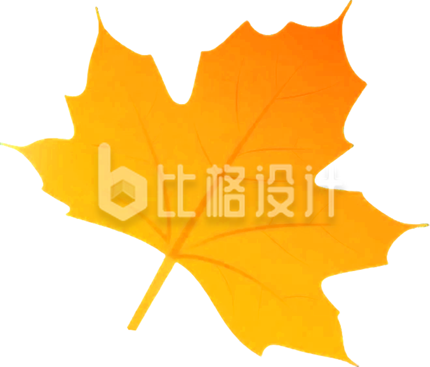 枫叶