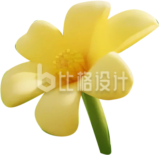 黄色小花花朵
