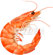 手绘大虾