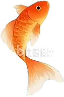 手绘锦鲤