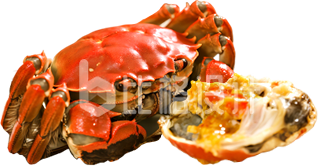 大闸蟹美食促销实景免抠图片