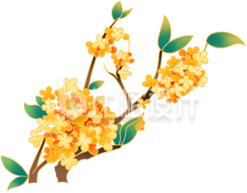 手绘风桂花枝