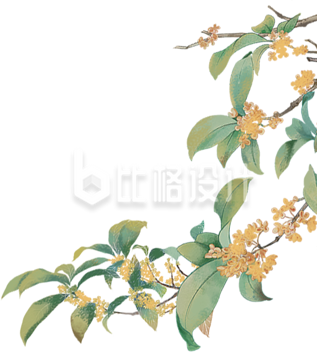 插画桂花枝