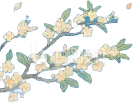 桂花枝插画