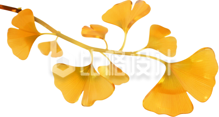 黄色玻璃质感银杏叶