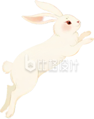 兔子插画