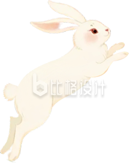 兔子插画