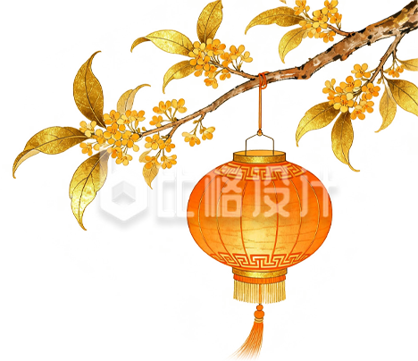 橙色桂花树枝挂灯笼