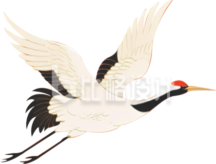 仙鹤手绘