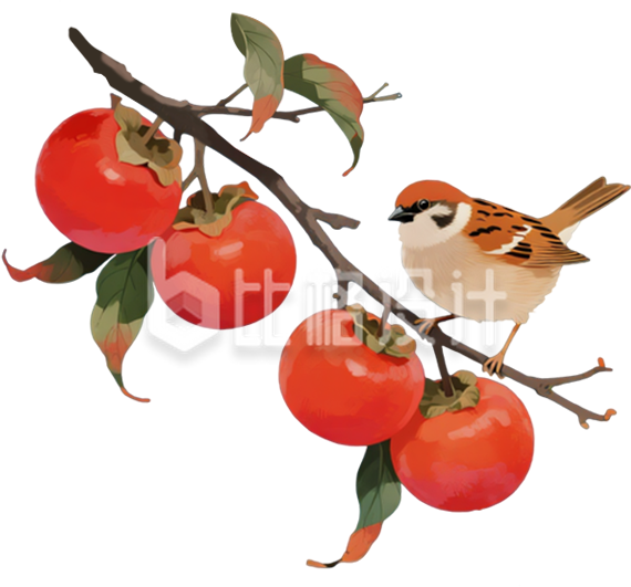 柿子树枝小鸟手绘