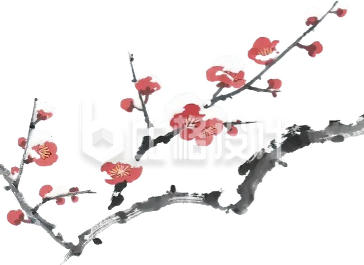 梅花树枝