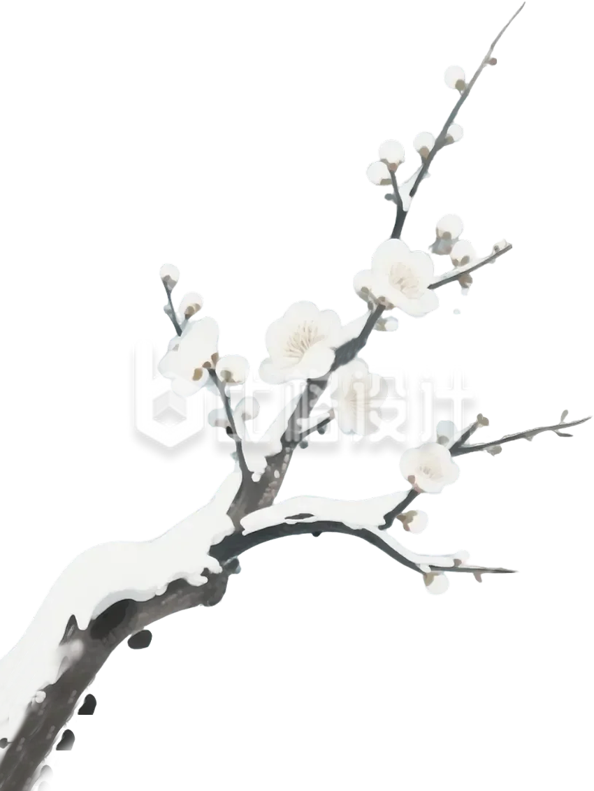 梅花树枝