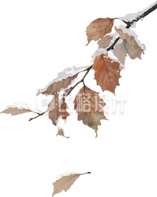 枯叶树枝冬季植物手绘