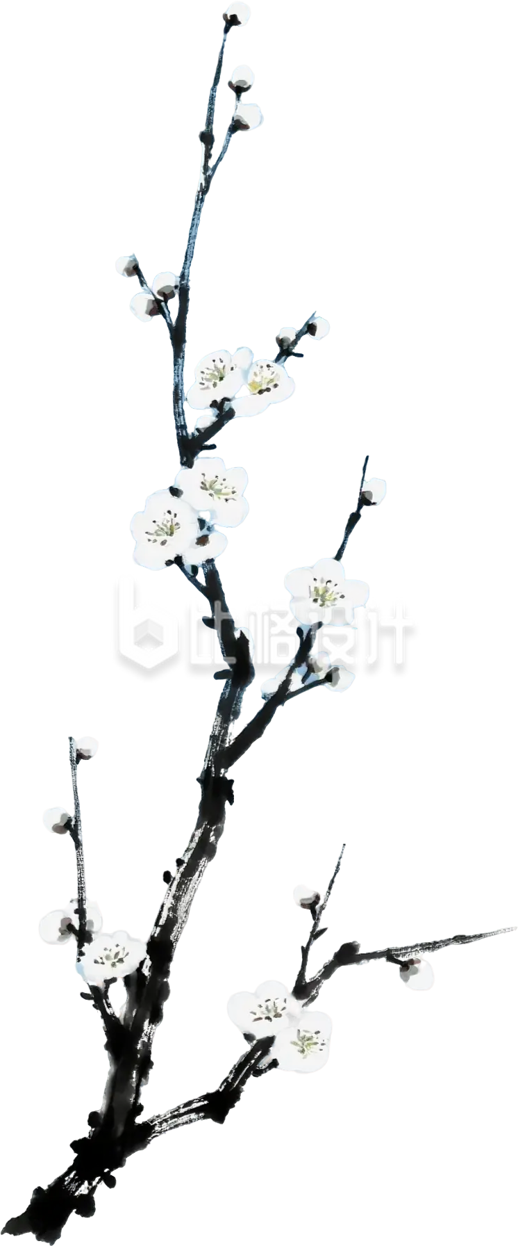 水墨梅花插画