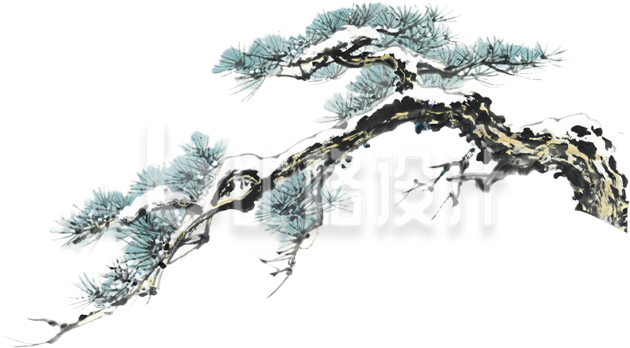 手绘积雪松柏树枝