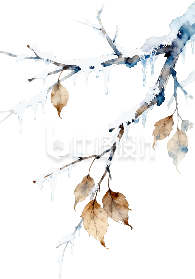 冬季树枝枯叶手绘