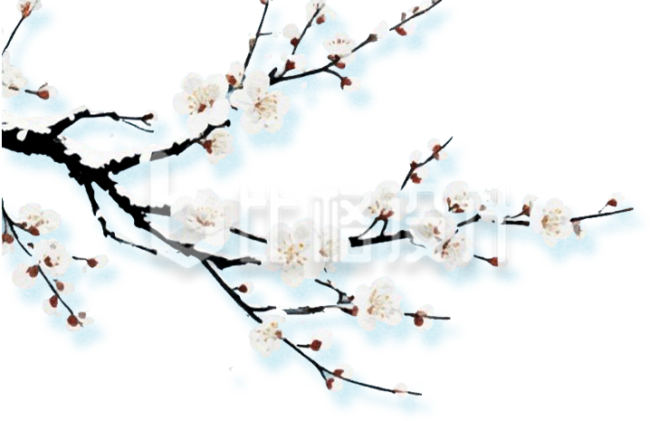 梅花手绘