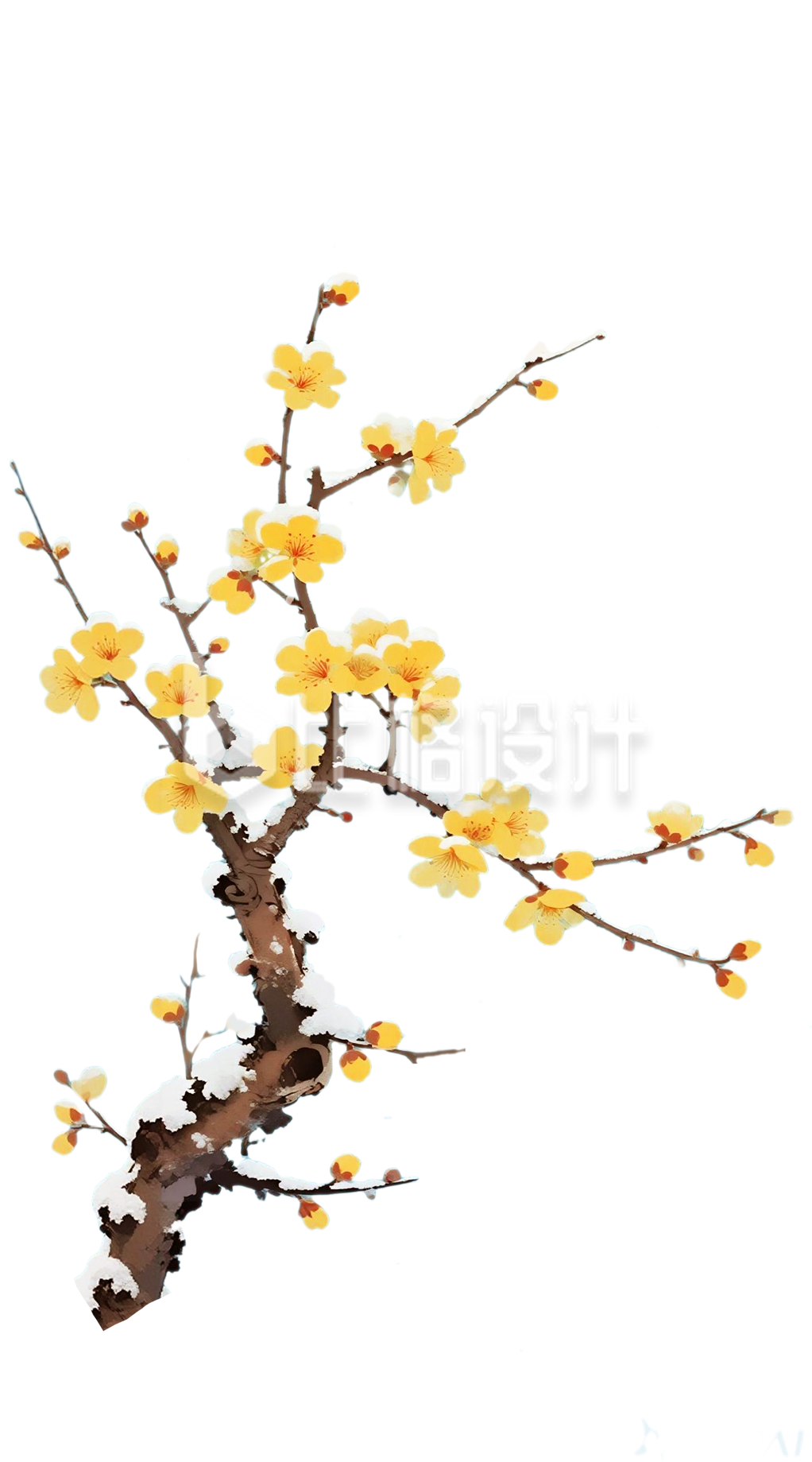 手绘黄色腊梅树枝