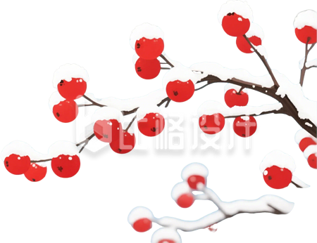 覆雪红果