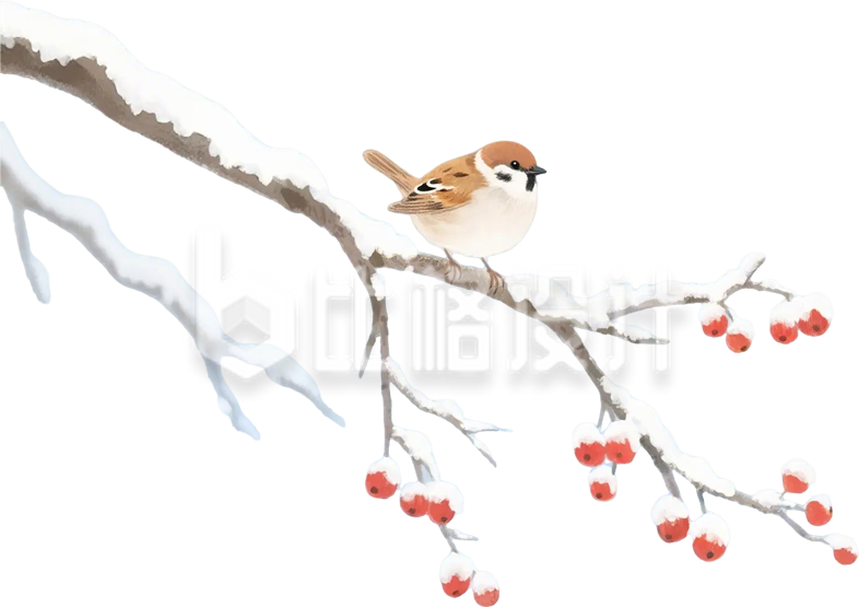 积雪树枝小鸟