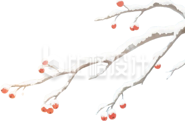 积雪红果树枝