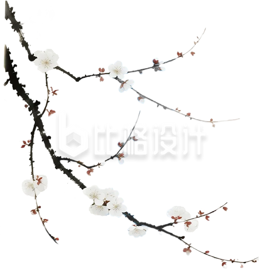 手绘白色腊梅树枝