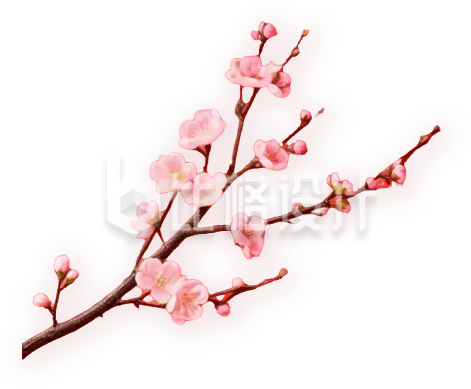 梅花