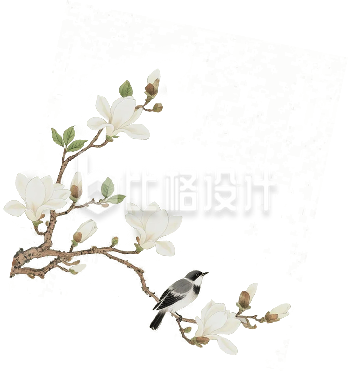 中国风手绘玉兰花插画