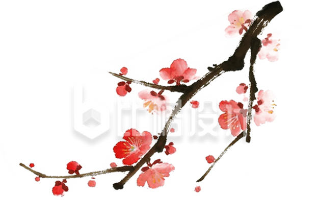 手绘水墨风梅花插画