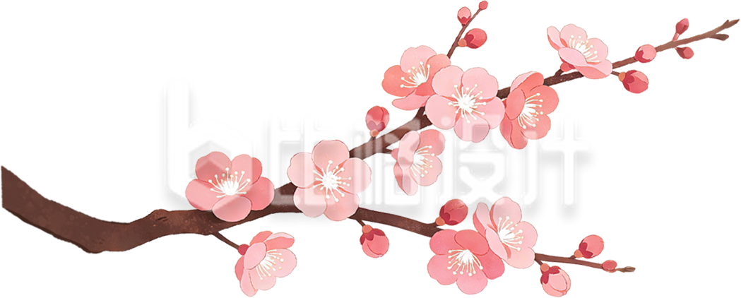 桃花植物手绘