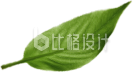 绿色树叶实景免抠图片