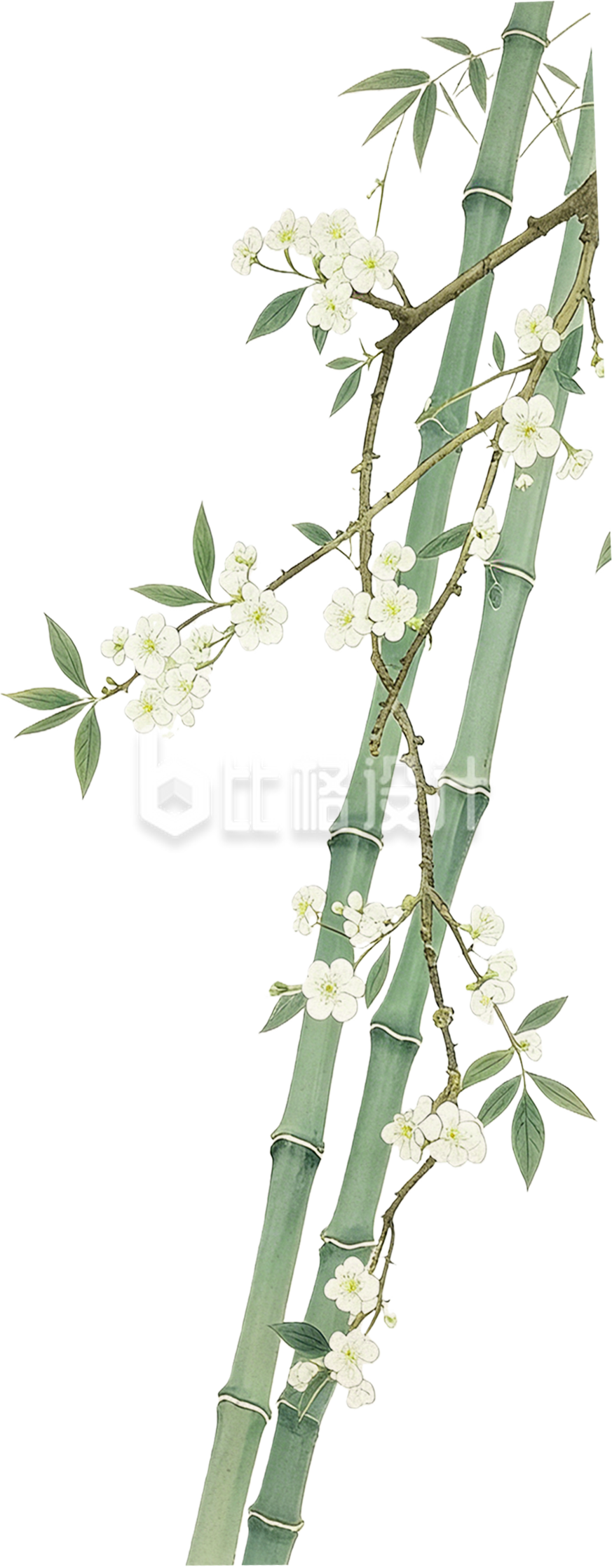 竹子缠小花手绘植物