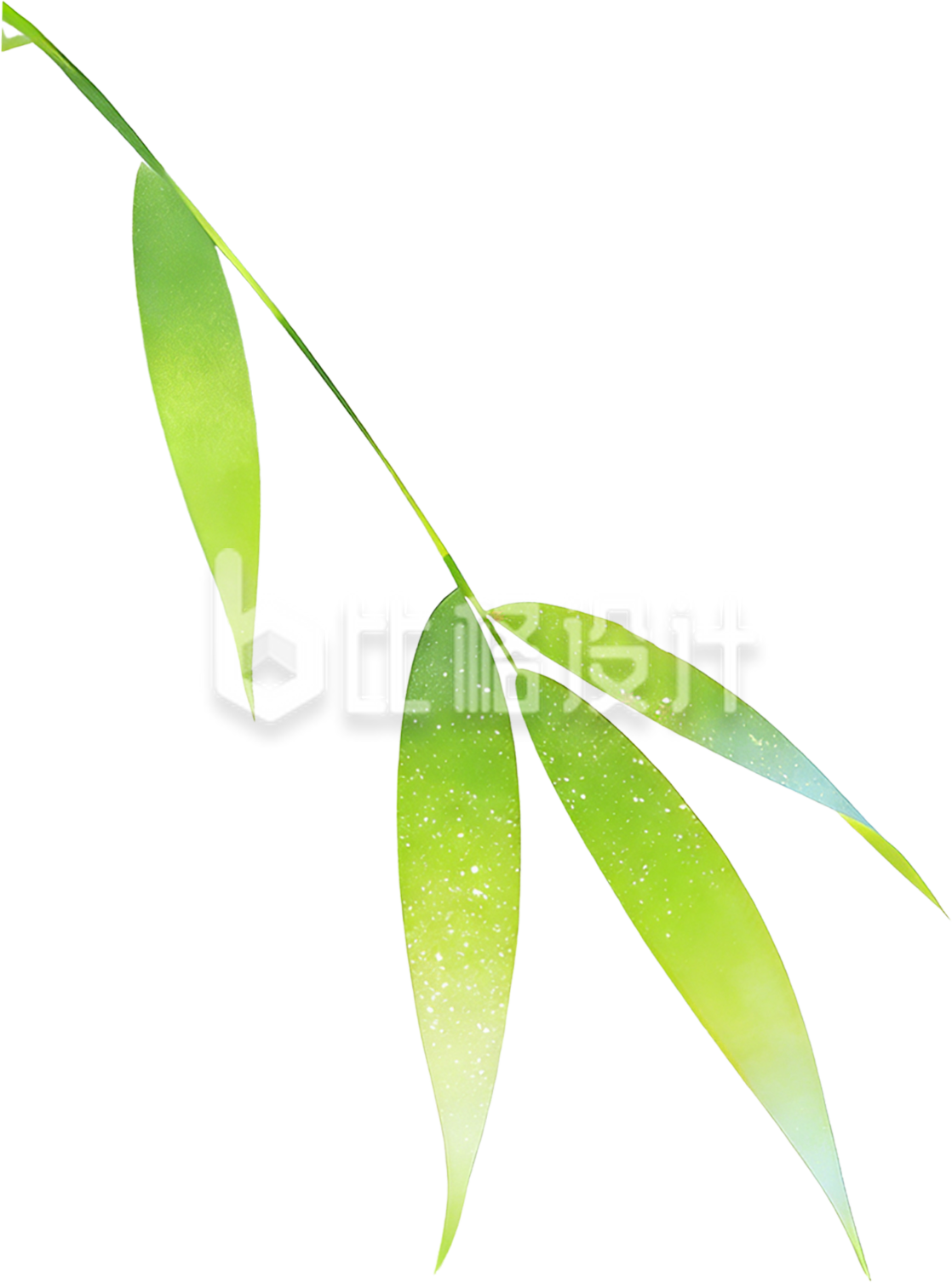 竹叶水彩绿色手绘