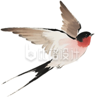 手绘燕子鸟