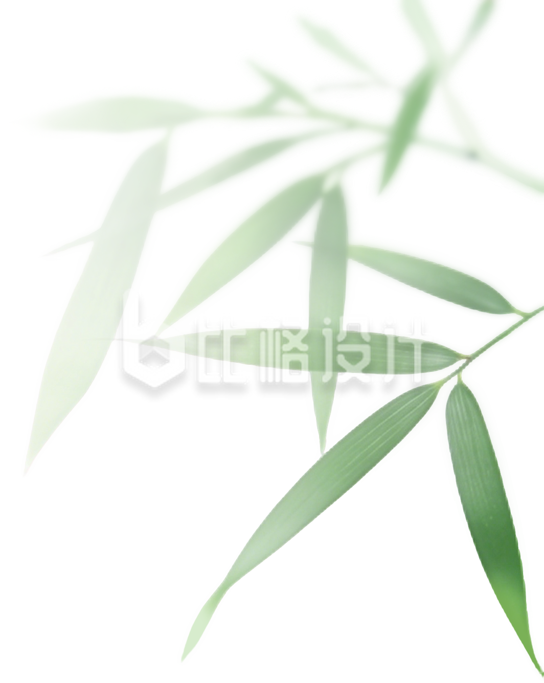 绿色植物竹叶手绘