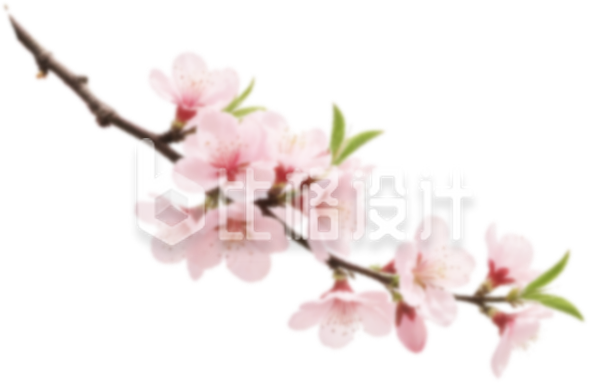桃花树枝实景