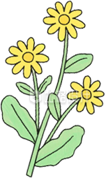 手绘黄色小花植物